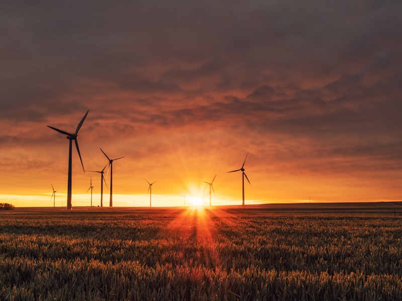 Impianto fotovoltaico aziendale